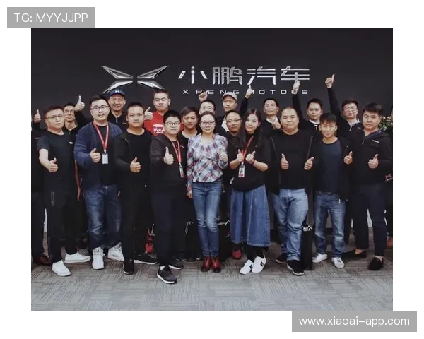 深入解析钱柜平台官网的优势与用户体验